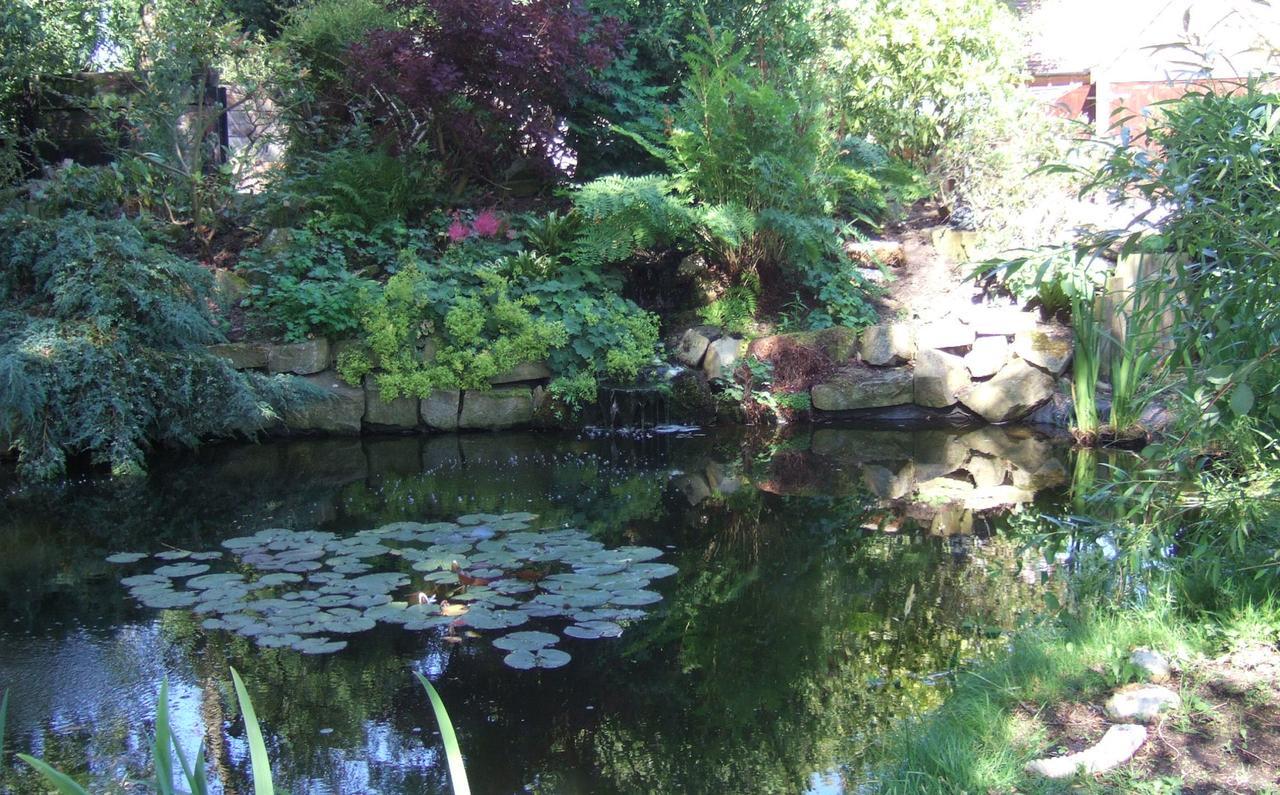 Lime Trees Farm Bed and Breakfast Bicester Eksteriør billede