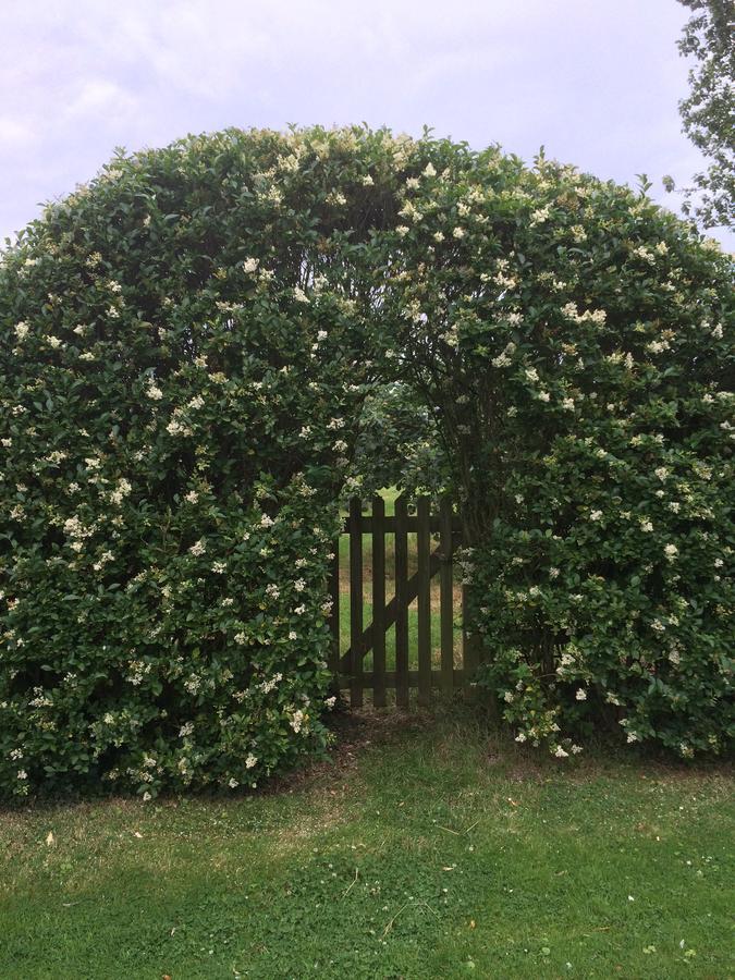 Lime Trees Farm Bed and Breakfast Bicester Eksteriør billede